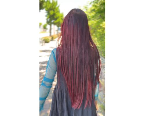 女性が一度は憧れる。