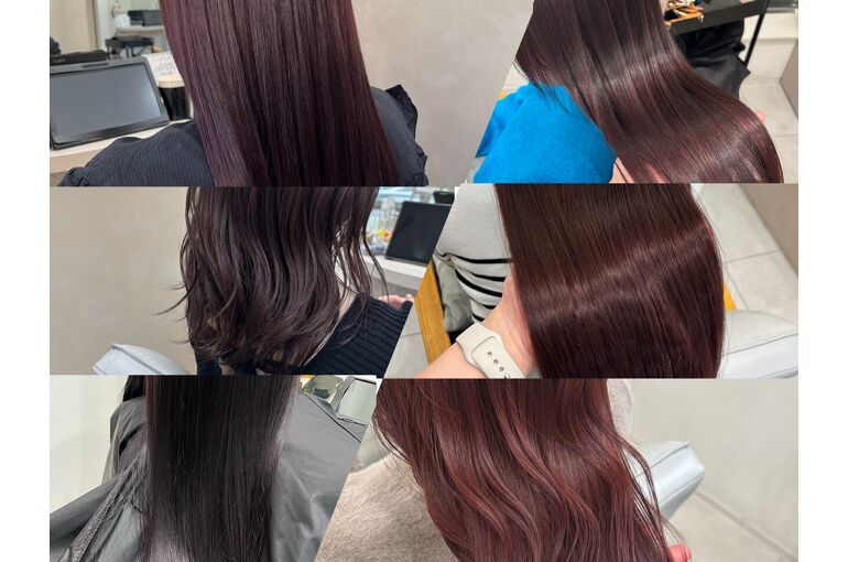 秋冬人気カラーcollection
