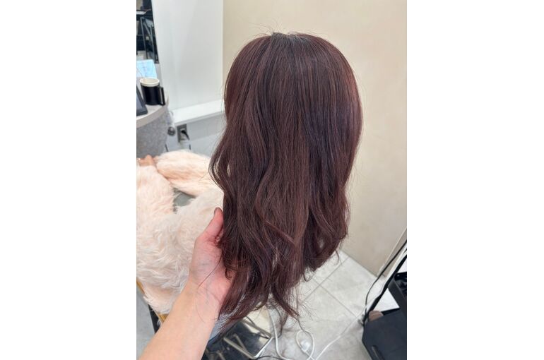 ラベンダーピンク